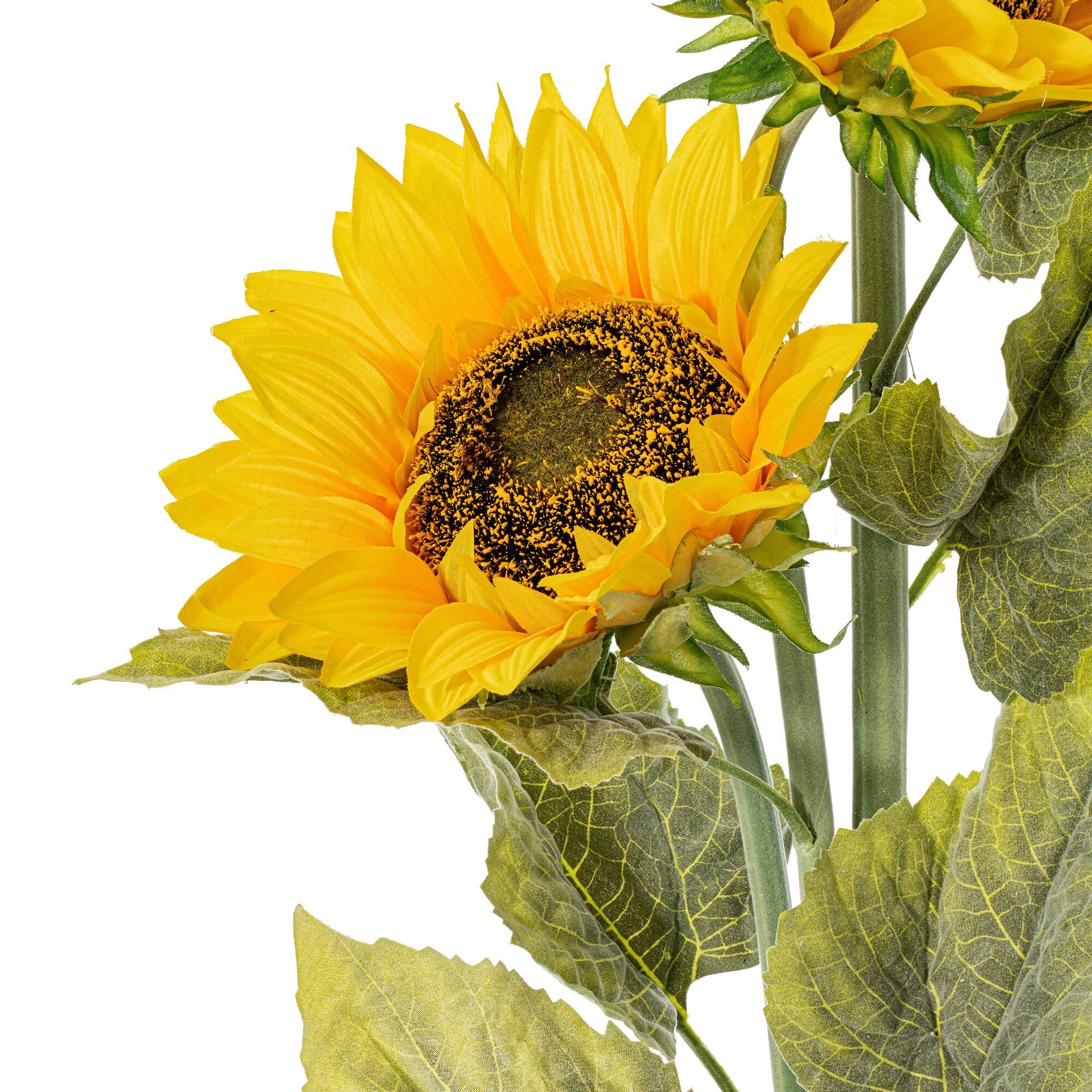Yellow Sunflower Spray